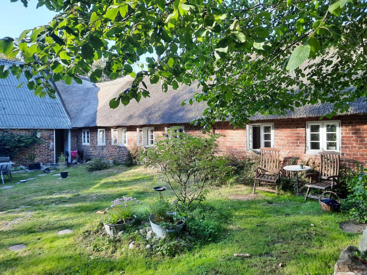 Ringkobing Fjord B&B Skjern Exterior foto
